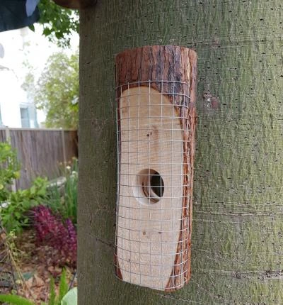 מתקן האכלה ייחודי לציפורים לשימוש בגינה ובמרפסת