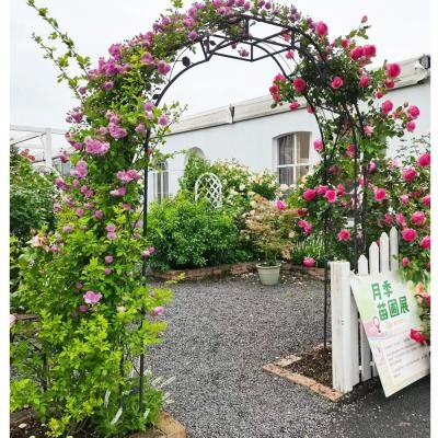 קשת לצמחים מטפסים בגינה – שער כניסה ממתכת ברוחב 190 סמ דגם טויה